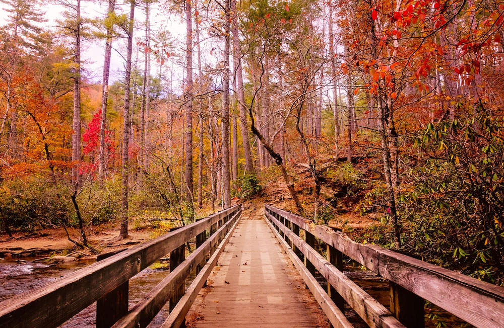 fall in Tennessee